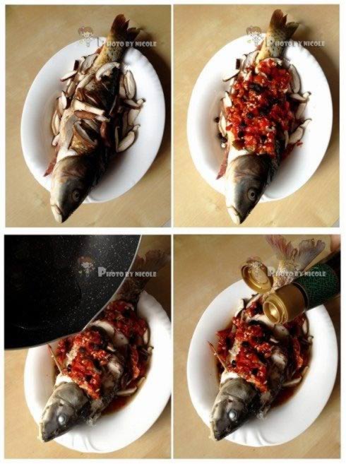 ��֭��Ƭ�罷�������