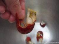 ����Ϻ�������