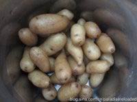 ��ȻС����������