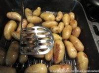 ��ȻС����������