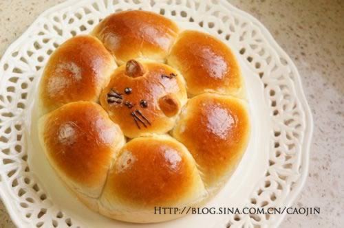 ʡ�¶���ľ޵����������