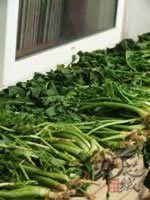 ����ѩ��ޮ������