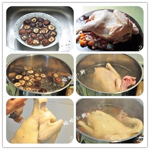 ��ʽ���㼦������