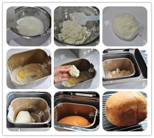 ����Ũ������ѵ�����