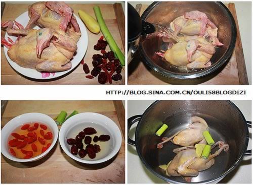 枣杞乳鸽汤的做法