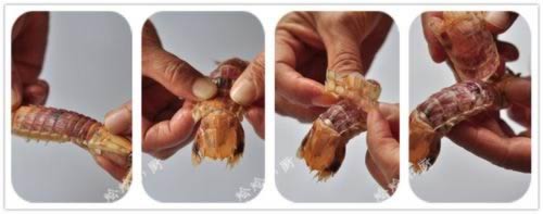 ��h����Ϻ������