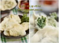 芨芨菜饺子的做法,怎么做,如何做好吃,图解详细步骤的做法