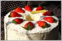 ˫ݮ���͵��������,��ô��,������ó�,ͼ����ϸ����