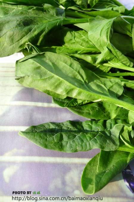 ���˵�˿�������