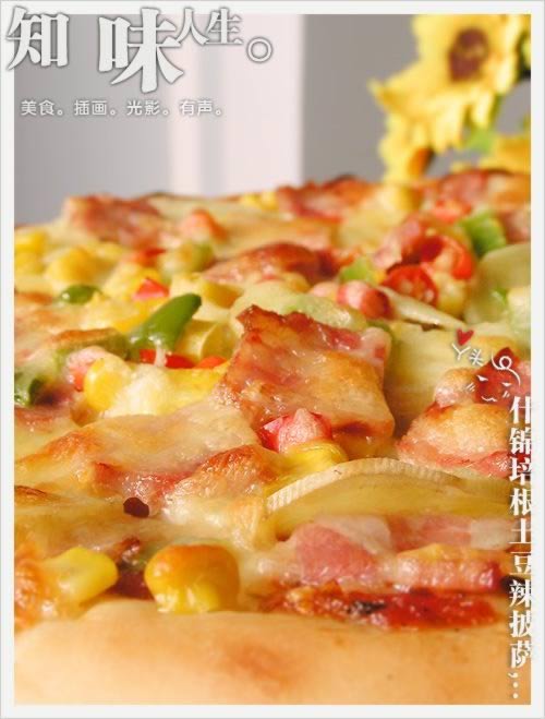 ʲ���������������������