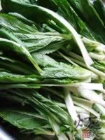 С�ײ������������