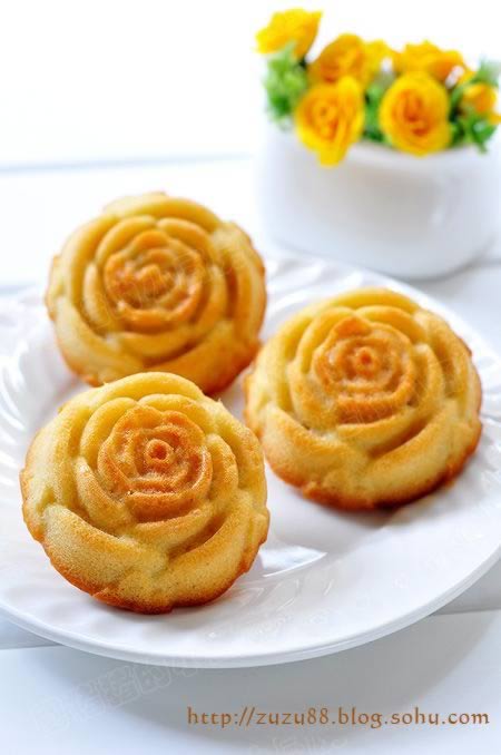 ����ѩ������