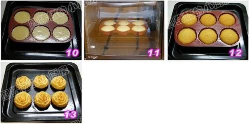 ����ѩ������