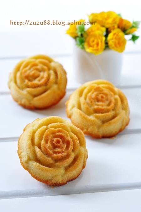 ����ѩ������