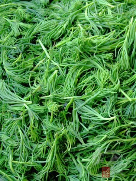 ����������ӵ�����