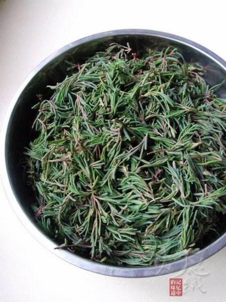 ����������ӵ�����