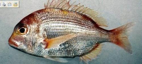 �������������