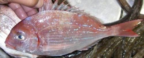 �������������