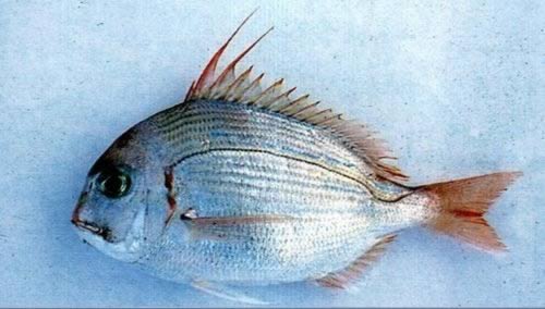 �������������