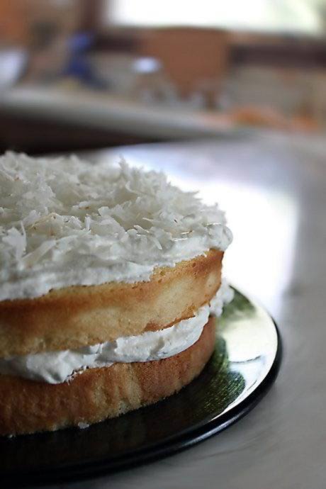 Ҭ�ӵ��������