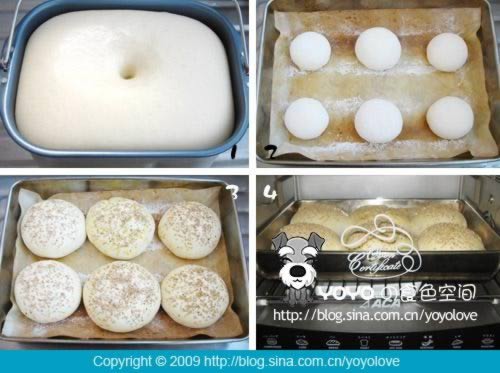 ���ƺ�����������