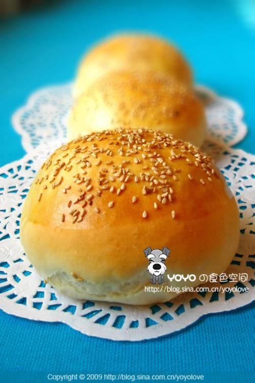 ���ƺ�����������