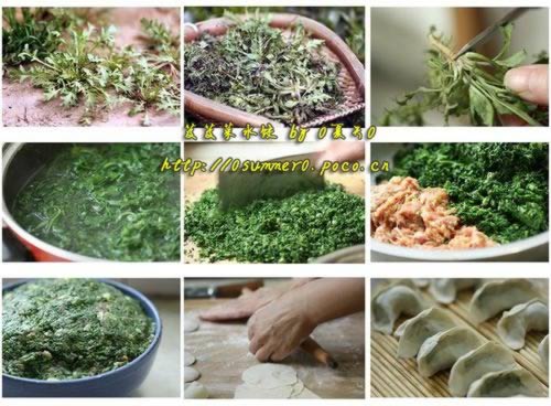 芨芨菜饺子的做法