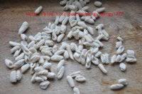 �������è���������