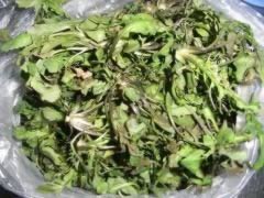 ������⽵�����