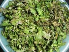 ������⽵�����