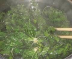 ������⽵�����