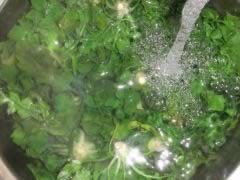 ������⽵�����