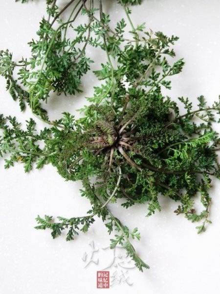 麦蒿水饺的做法