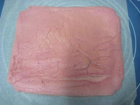 ��������������������