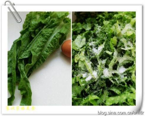 ݫ��Ҷ��������