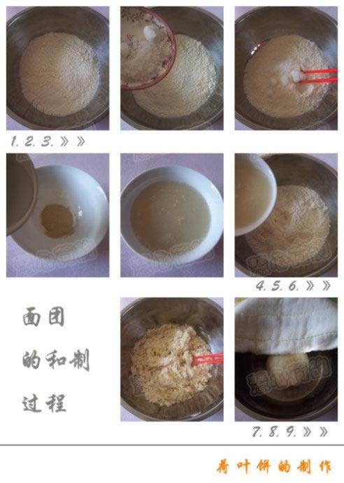 ��ͥ���ƺ�Ҷ��������