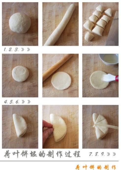 ��ͥ���ƺ�Ҷ��������