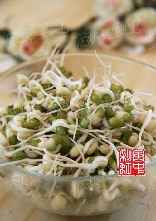 ������Ƥ������