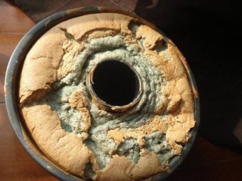 ɣ���ݷ絰�������