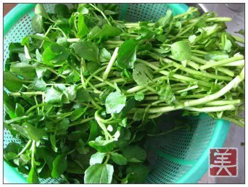 ������������ȵ�����