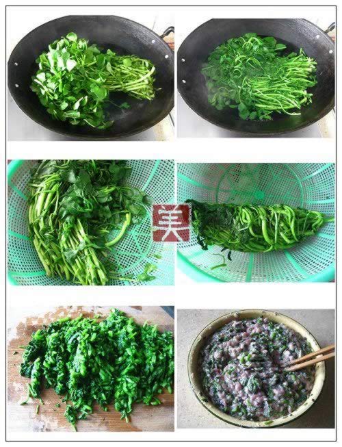 ������������ȵ�����