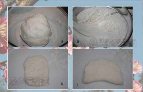 ���㿾����Ҷ��������