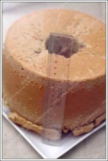 �����ݷ絰�������