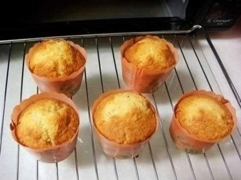 ������㽶�ɱ�+�㽶��ҵ�����