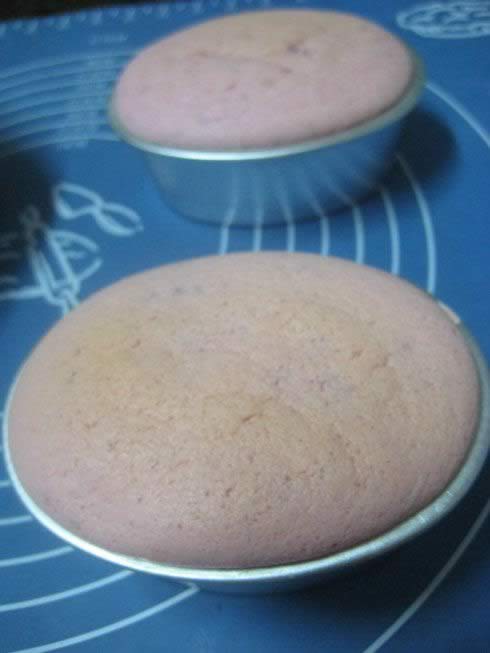 �����������֥ʿ���������