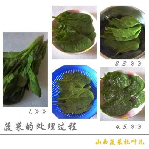 ������Ҷ��������