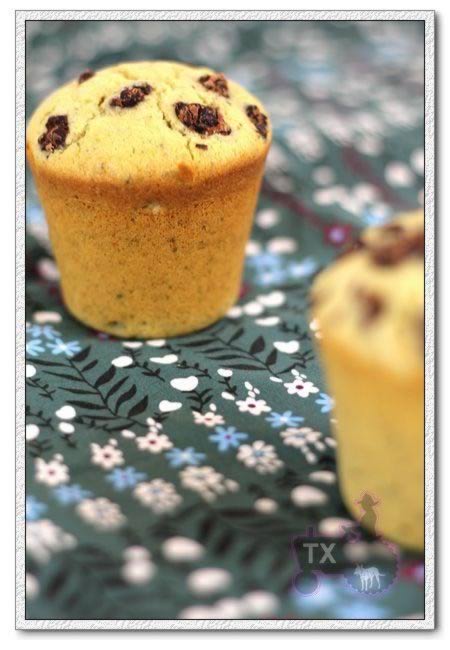 Ŵ�׵��������