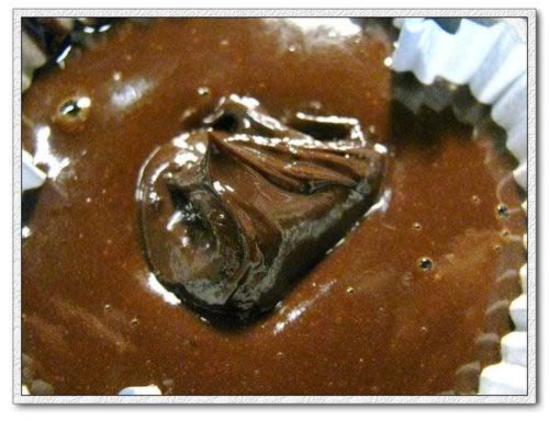 �ռ���Ũ�ɿ�������ֽ�����������