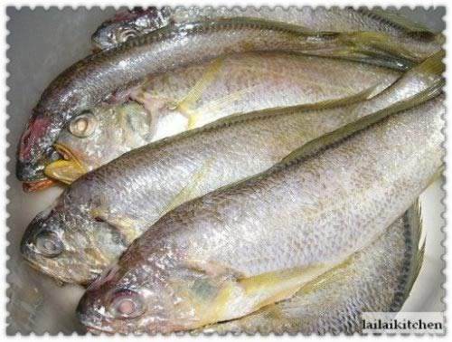 ѩ�˻����������