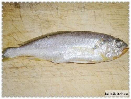 ѩ�˻����������